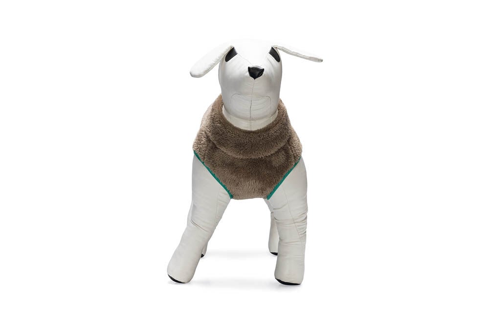 Beeztees Teddy - Hondenjas - taupe - 2XS