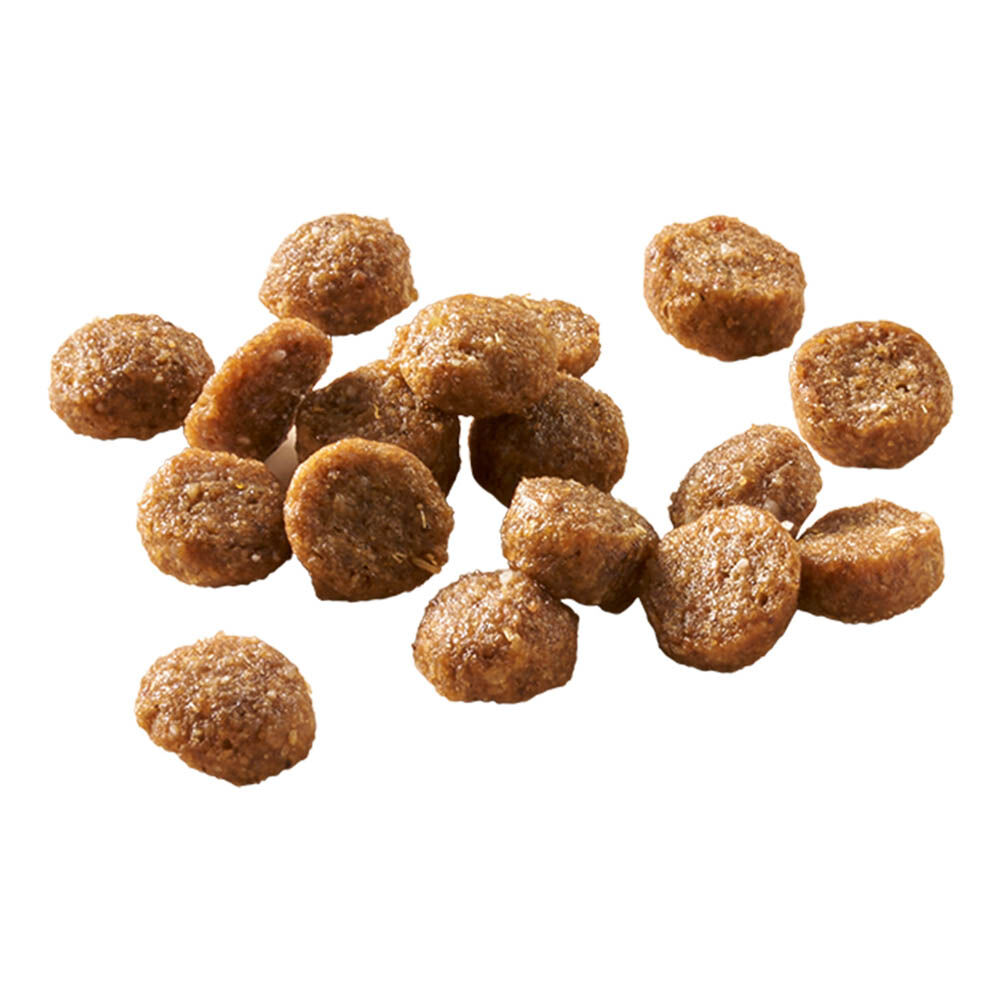 Welkoop Adult in/outdoor - Kattenvoer - 4 Kilogram - kip, zalm