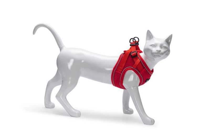 Beeztees Parinca - Kattentuigje - Rood - S-M