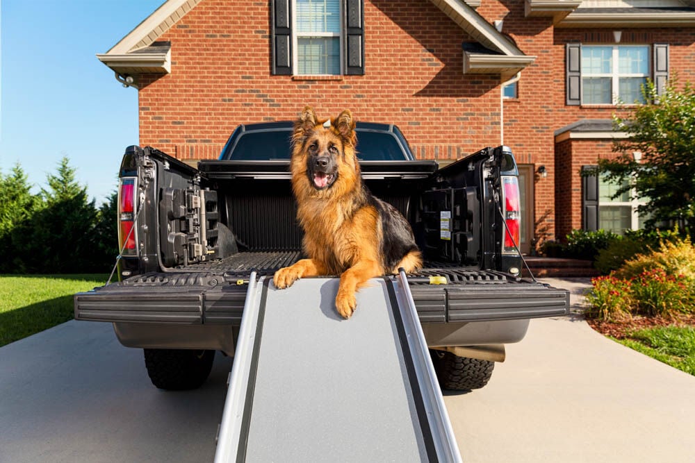 Petsafe Happy Ride Extra Long - Loopplank