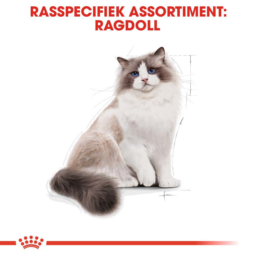 Royal Canin Ragdoll Adult - Kattenvoer - 0.4 Kilogram - Gevogelte