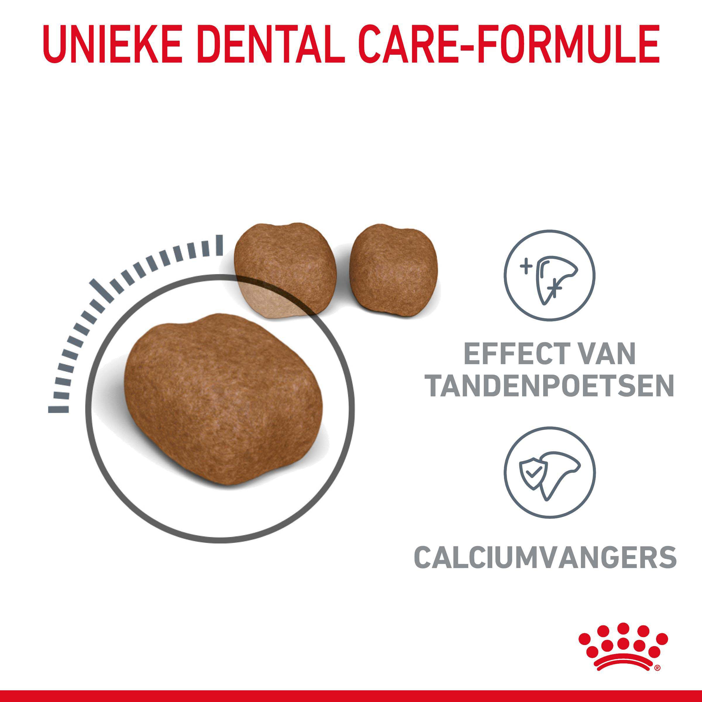 Royal Canin Oral Care - Kattenvoer - 8000 Gram - Gevogelte