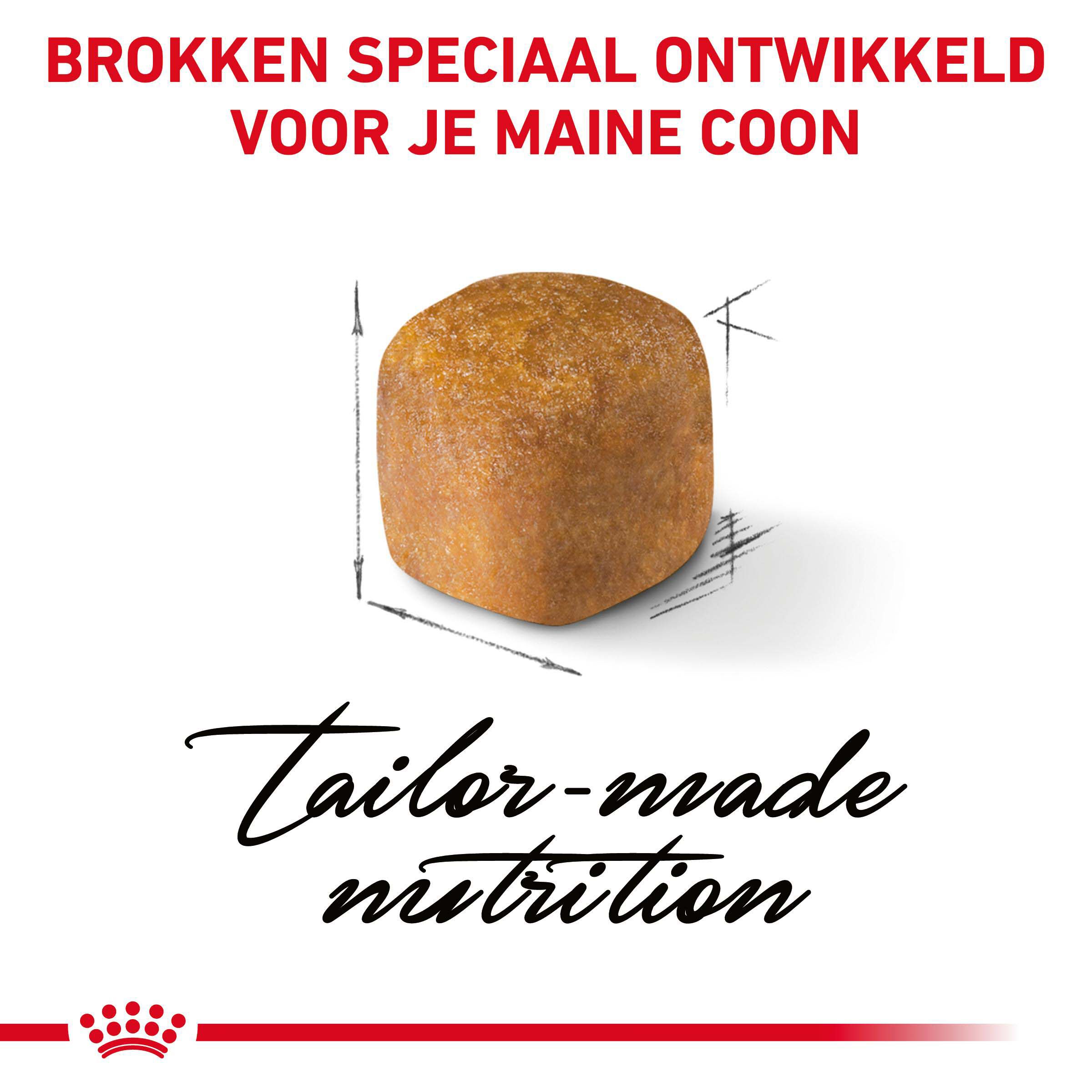 Royal Canin Maine Coon Kitten - Kattenvoer - 10 Kilogram - Gevogelte