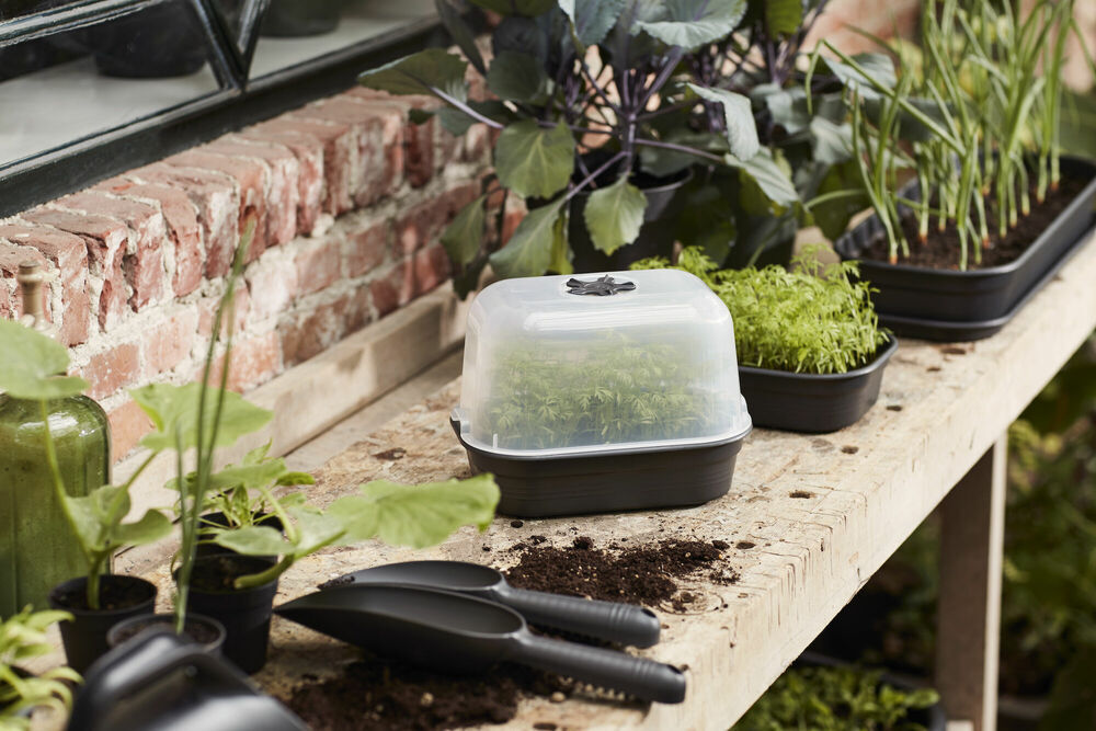 Elho Green Basics Kweekkap 24x17cm - Kweekbenodigdheden - 12x16.5x23.5 cm