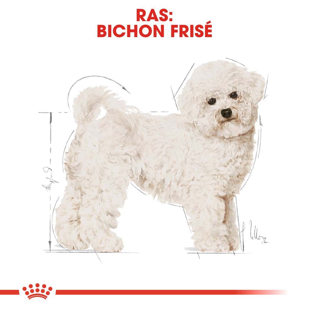 Royal Canin Bichon Frisé Adult - Hondenvoer - 1.5 Kilogram - gevogelte