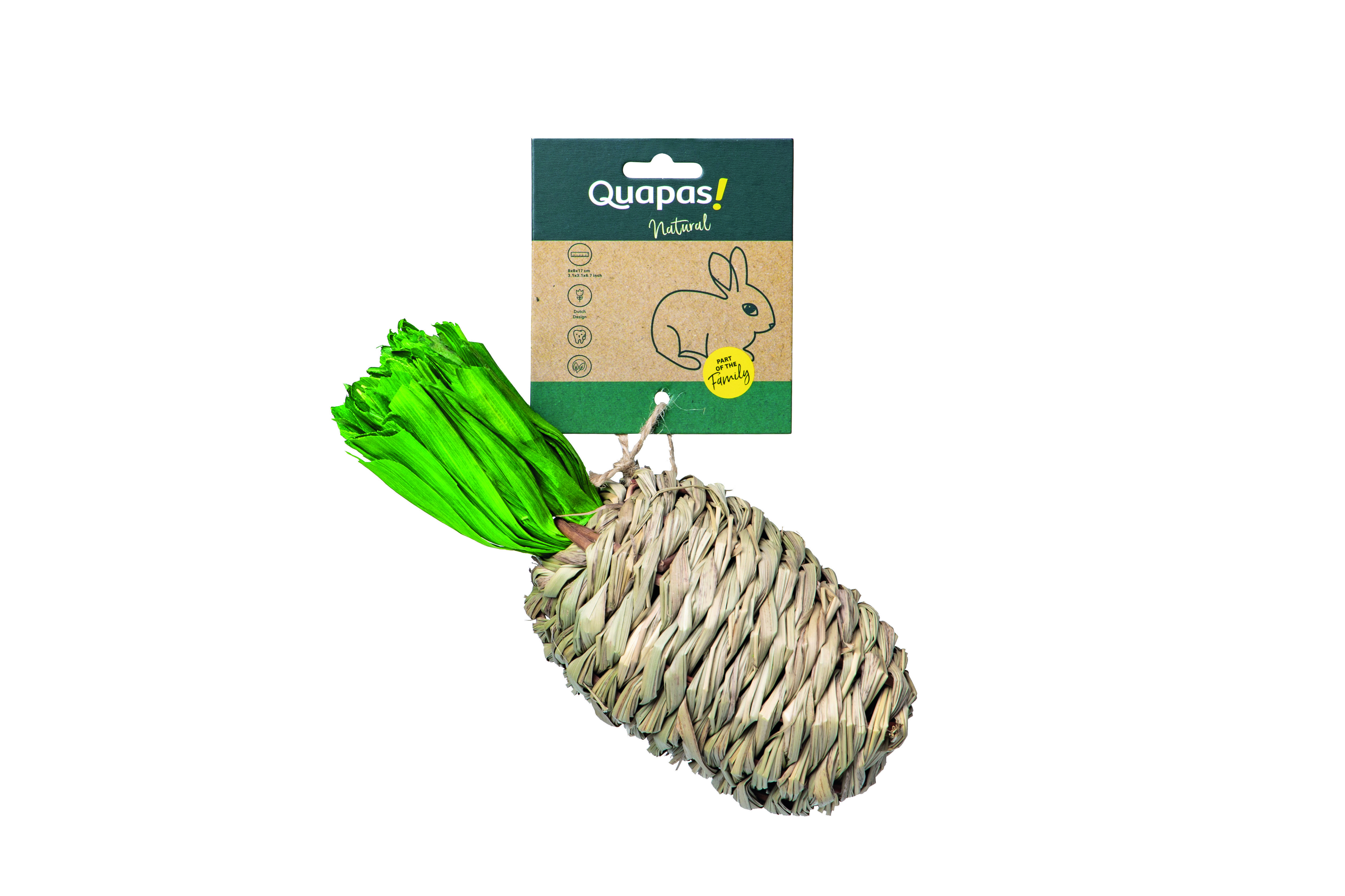Quapas! Bal Hibisc Ananas - Knaagdierspeelgoed - 19x8x8 cm Quapas! Bal Hibisc Ananas - Knaagdierspeelgoed - 19x8x8 cm
