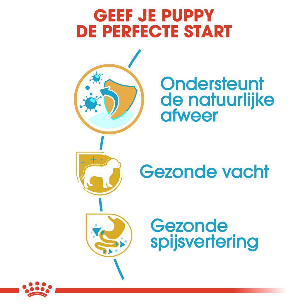 Royal Canin Poedel Junior - Hondenvoer - 3 Kilogram - gevogelte