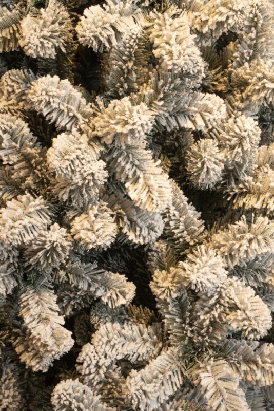 Black Box Charlton - Kunstkerstboom - Frosted - 230 cm