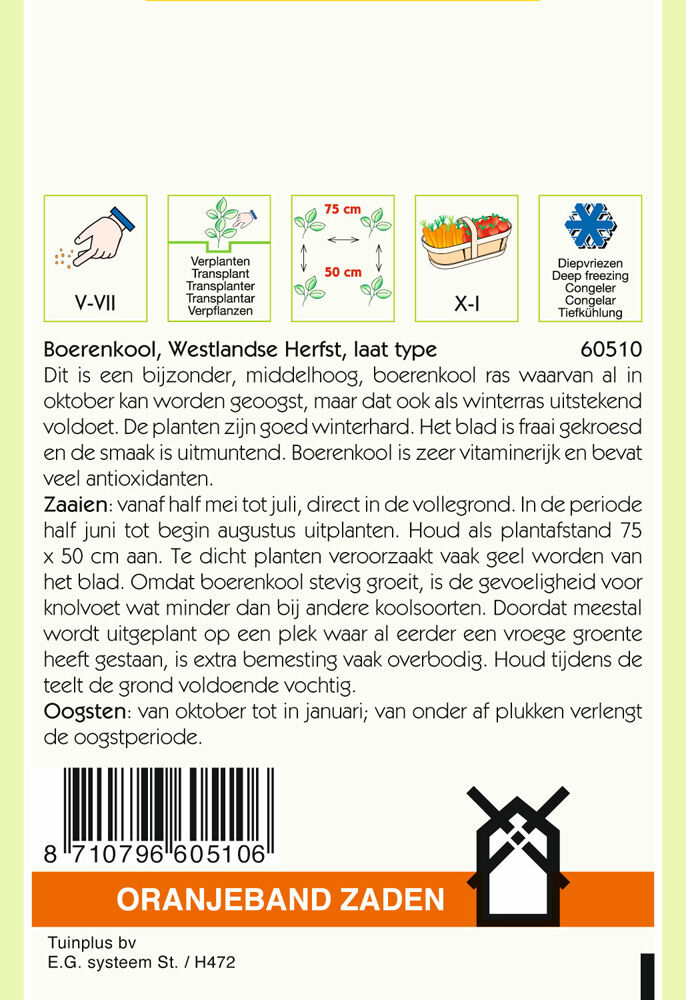 Oranjeband zaden Boerenkool Westlandse herfst - Groentezaden