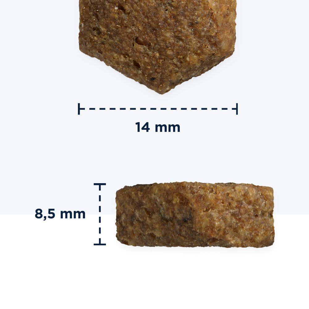 Eukanuba Boxer Adult - Hondenvoer - 12 Kilogram - kip