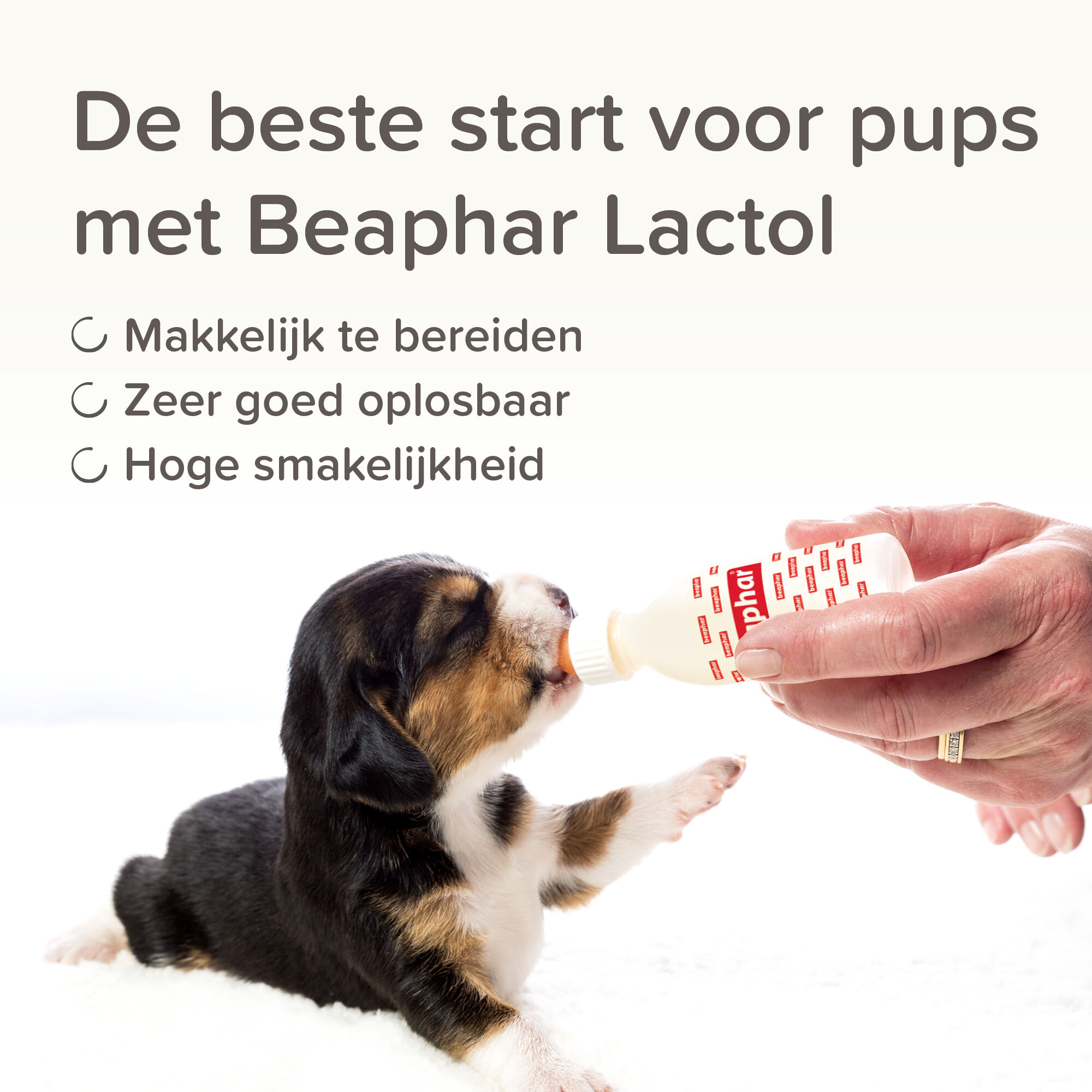 Beaphar Lactol - Puppy Milk - 250 Gram