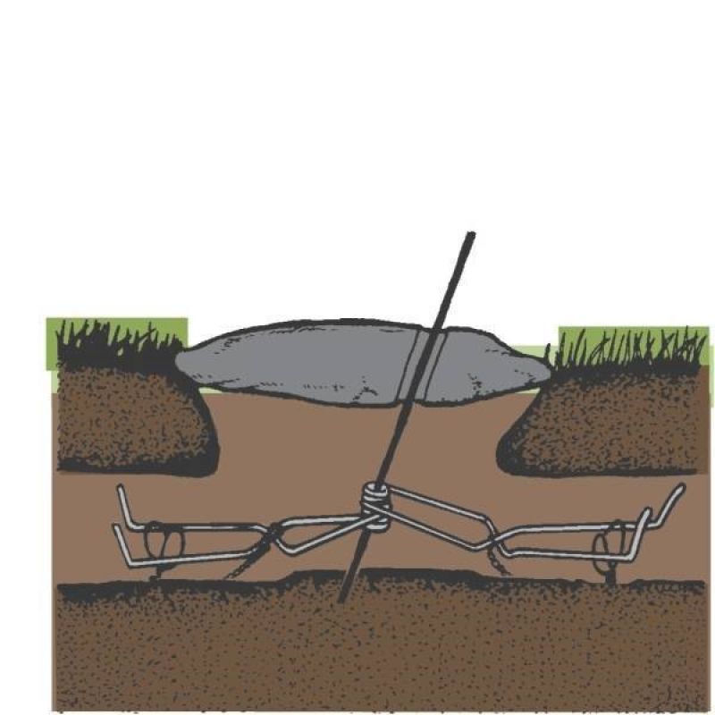 Woelmuisklem - Tegen woelmuizen