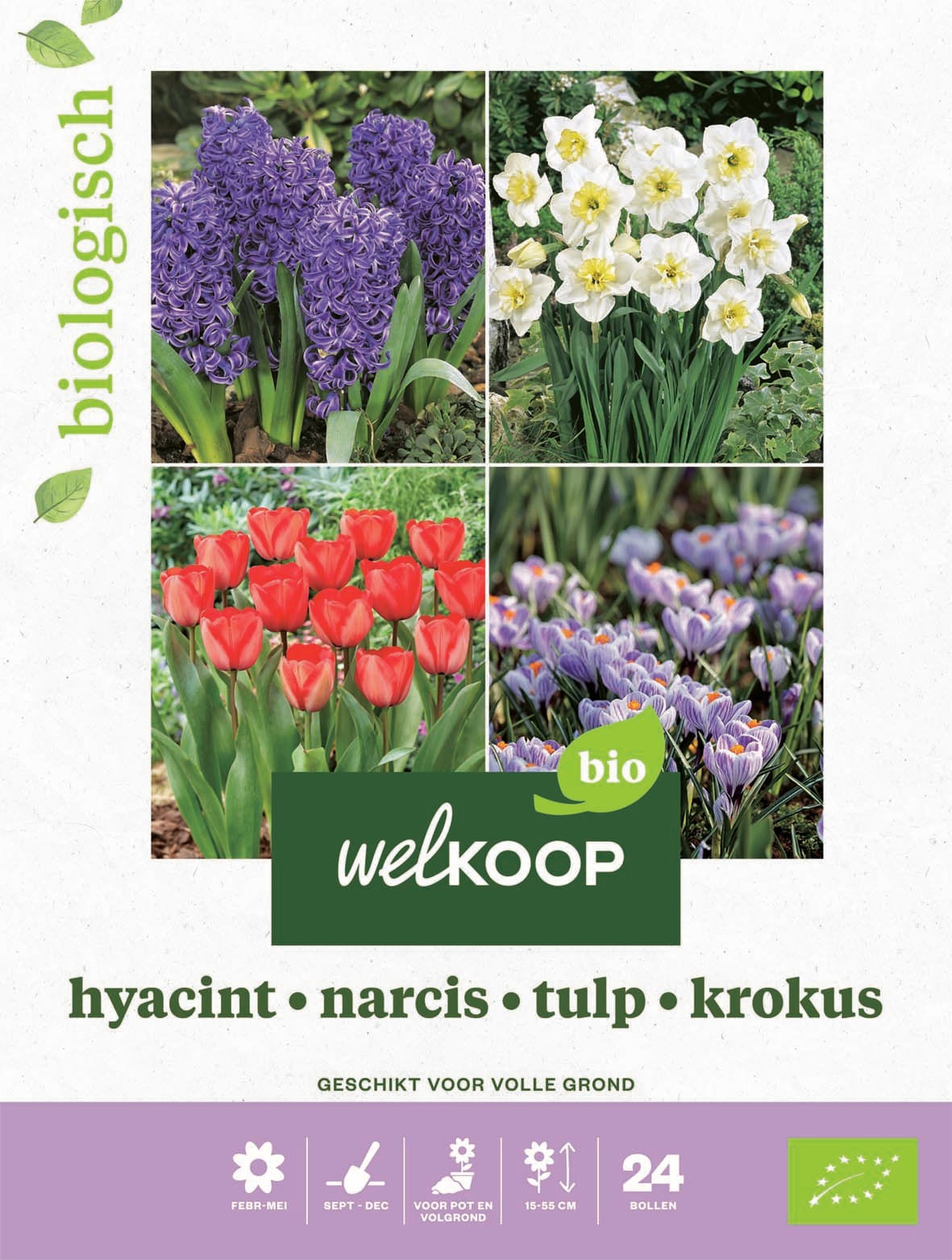 Welkoop Hyacint Narcis Tulp Krokus Biologisch - Bloembollen Welkoop Hyacint Narcis Tulp Krokus Biologisch - Bloembollen