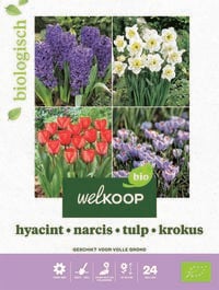 Welkoop Hyacint Narcis Tulp Krokus Biologisch - Bloembollen