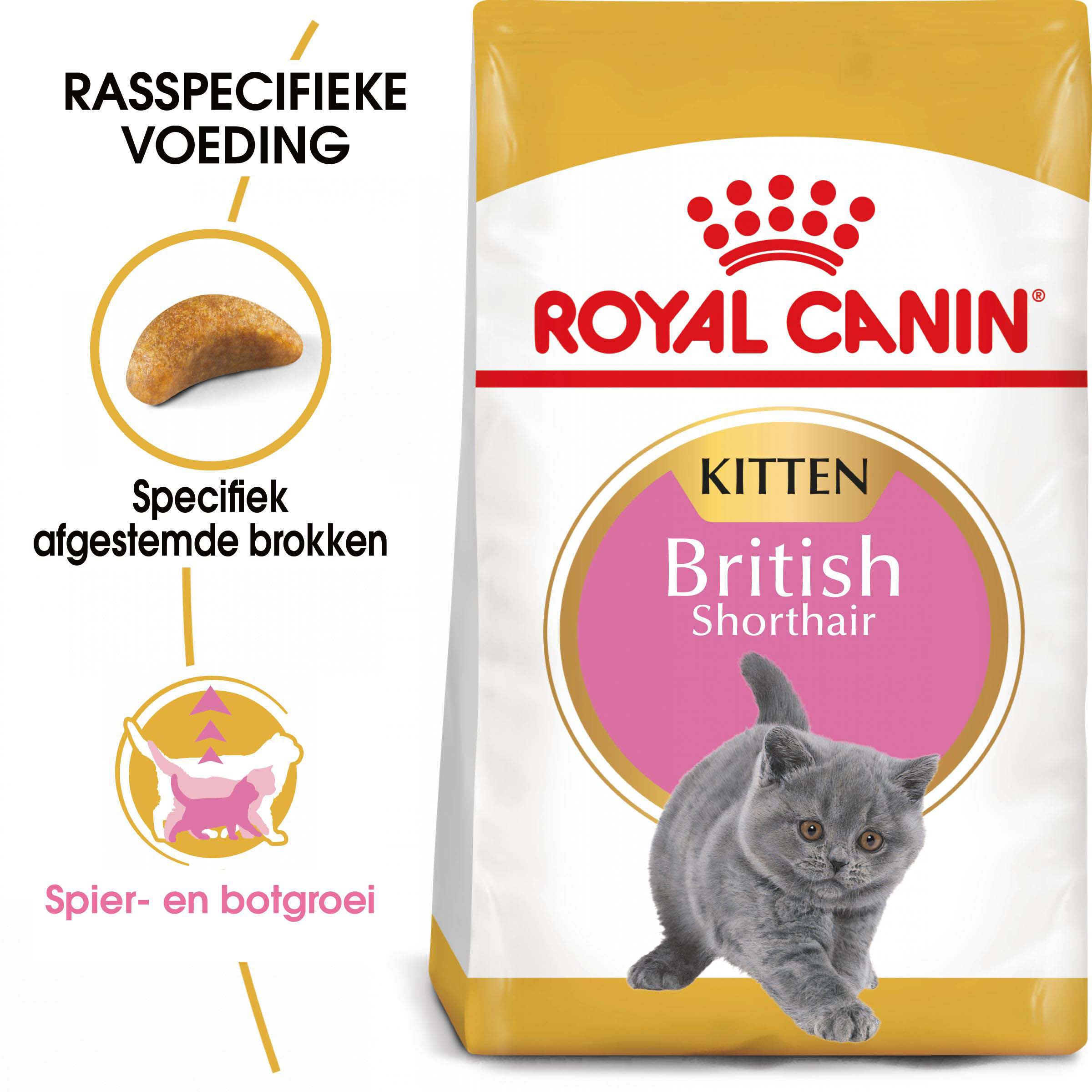 Royal Canin Britse Korthaar Kitten - Kattenvoer - 0.4 Kilogram - Gevogelte