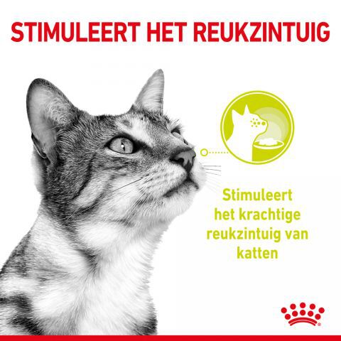 Royal Canin Sensory Multipack - Kattenvoer - 1020 Gram