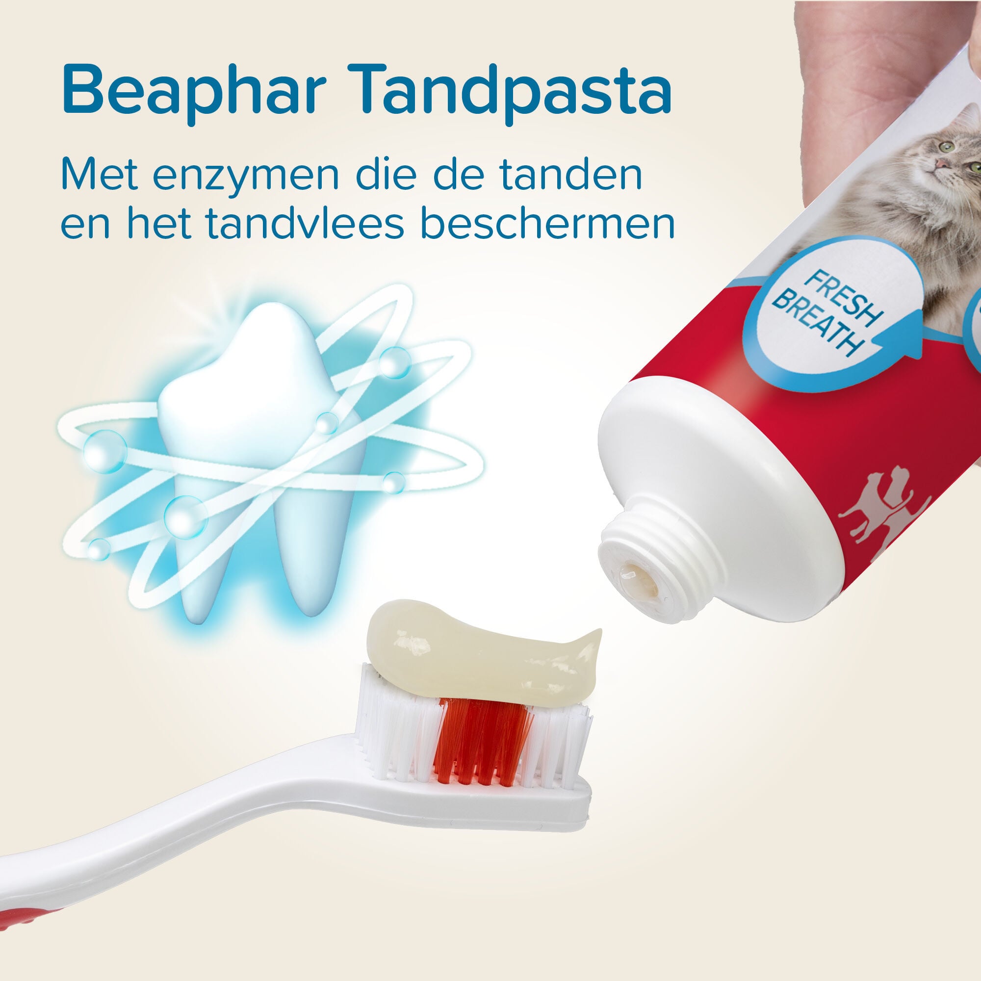 Beaphar Combi-pack - Tandenborstel en Tandpasta - Hond - Wit