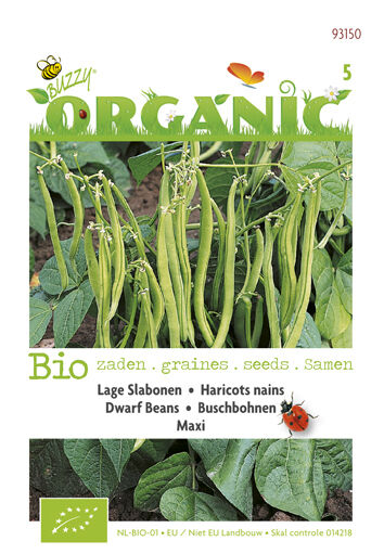 Buzzy Stamslabonen Phaseolus vulgaris L. Maxi - Sla- of sperziebonen