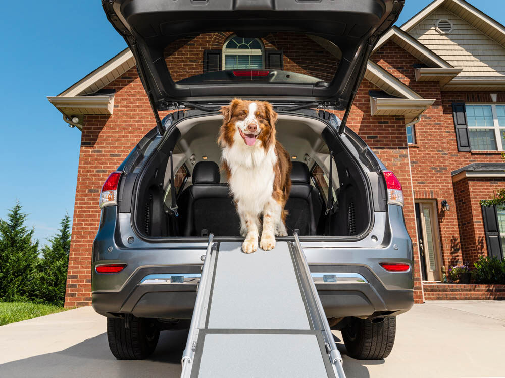 Petsafe Happy Ride Medium Uitschuifbaar - Loopplank