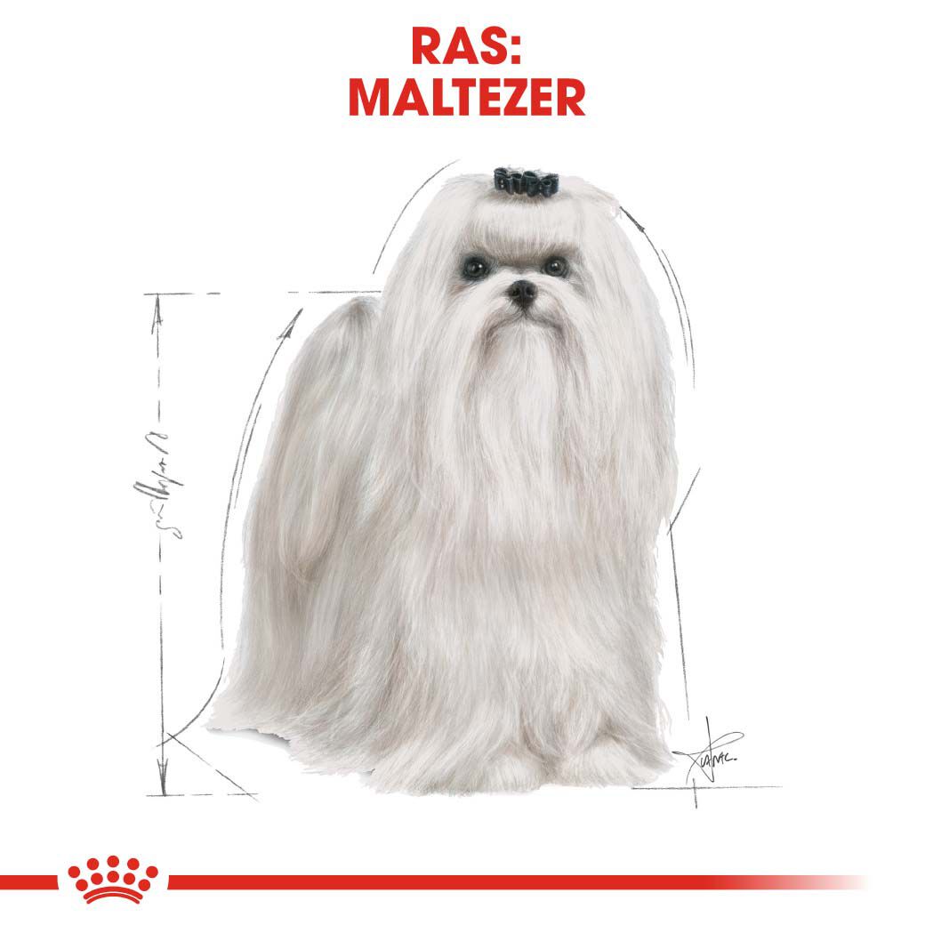 Royal Canin Maltese Adult - Hondenvoer - 1.5 Kilogram - gevogelte
