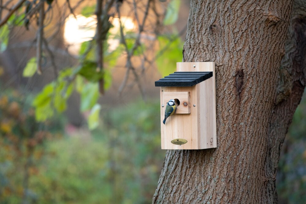 Vogelbescherming Herning Nestkast - Pimpelmees - 28 mm