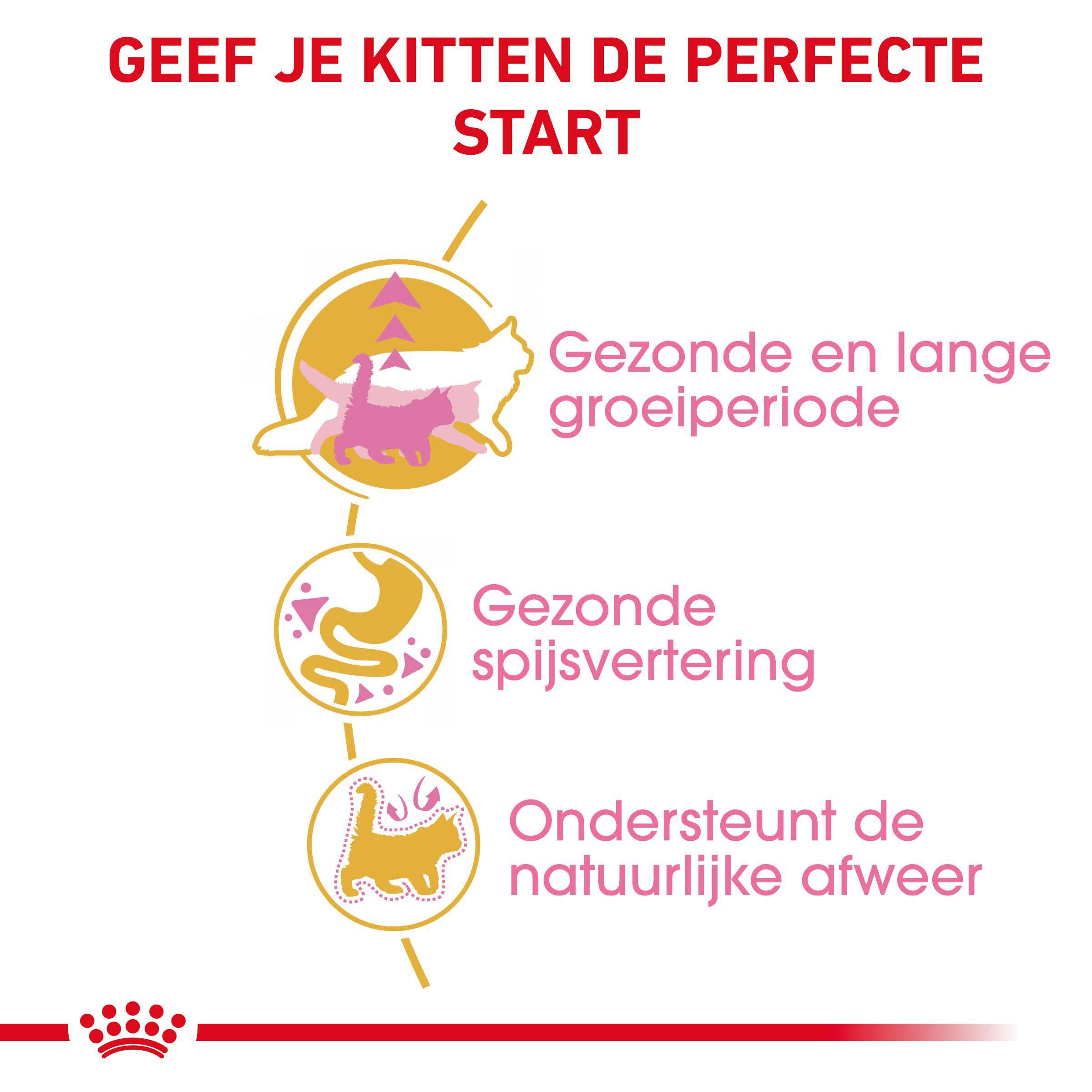 Royal Canin Maine Coon Kitten - Kattenvoer - 2 Kilogram - Gevogelte
