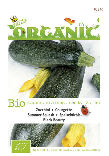 Buzzy Courgette Cucurbita pepo Black Beauty - Courgette