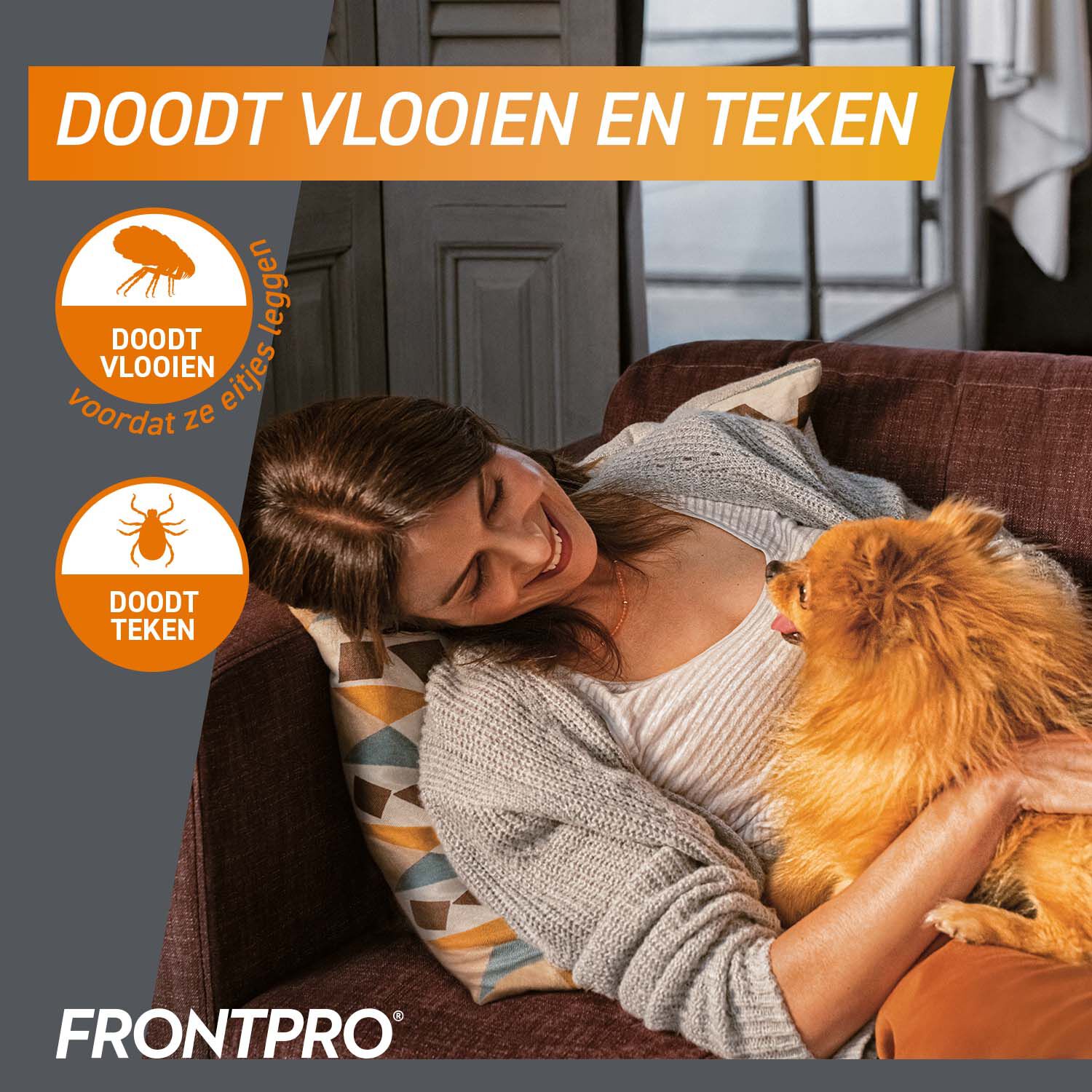 Frontpro Kauwtablet - Anti Vlooien en teken Hond - L - 3 Stuks - L