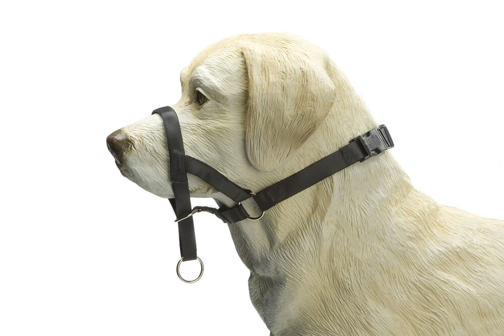 Beeztees Dog Control - Correctiehalsband Hond Beeztees Dog Control - Correctiehalsband Hond