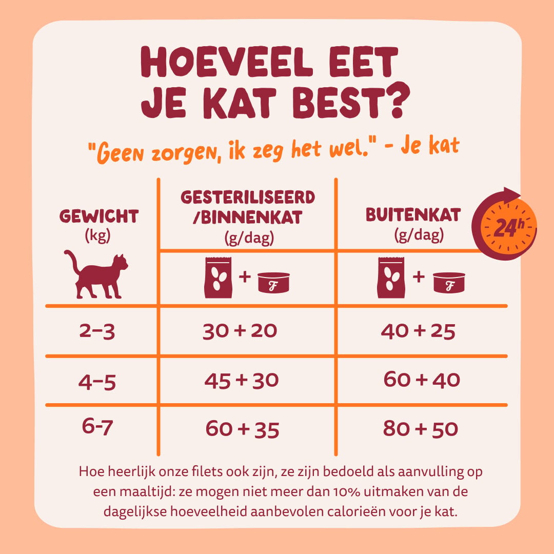 Edgar & Cooper Fillets - Kattenvoer - 70 Gram