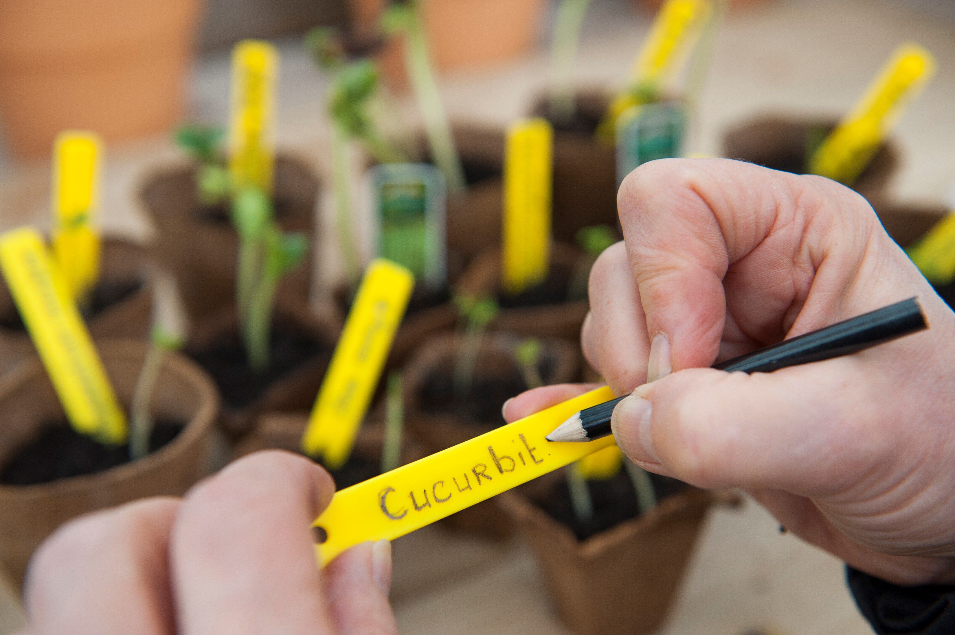 Nature Steeketiketten 25 stuks - Kweekbenodigdheden