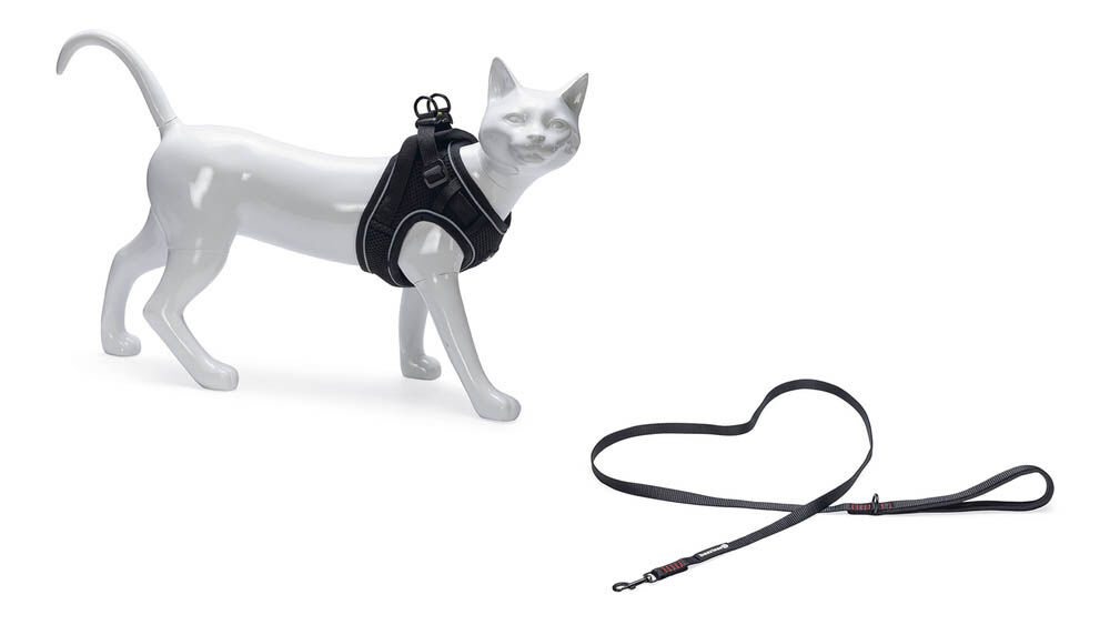 Beeztees Parinca - Kattentuigje - Zwart - S-M Beeztees Parinca - Kattentuigje - Zwart - S-M