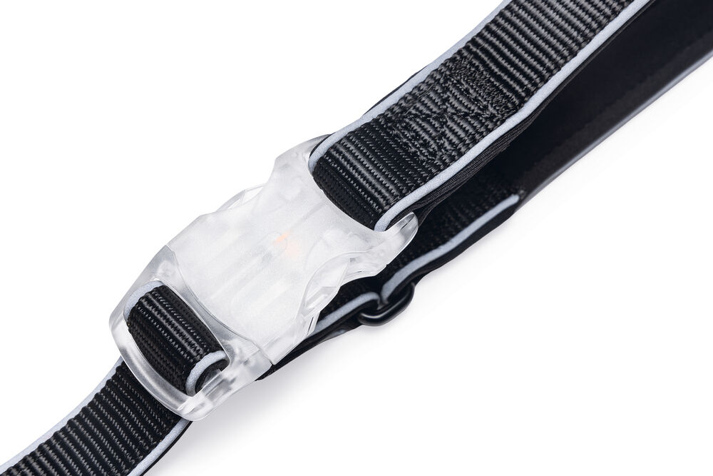 Beeztees Parinca - Reflecterende Hondenriem - zwart - 2 cm - 150 cm