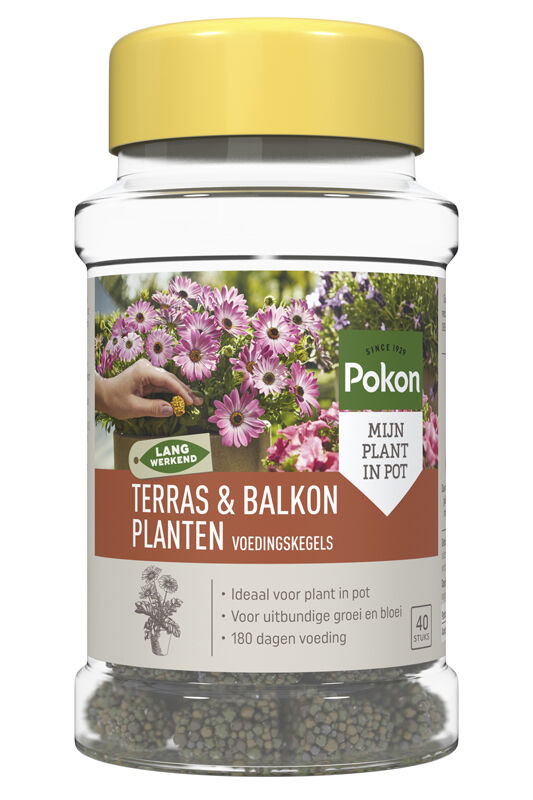Pokon Terras & Balkon Voedingskegels - Siertuinmeststof
