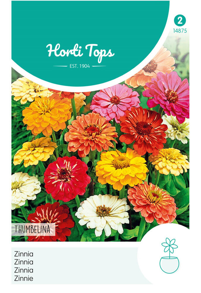 Hortitops Lage Zinnia Thumbelina - Bloemzaden