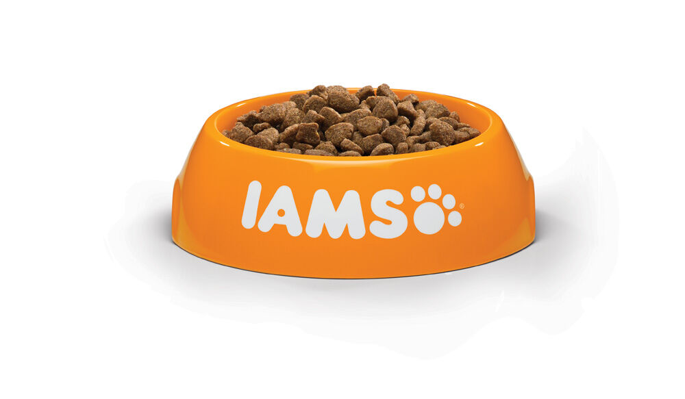 IAMS Senior - Kattenvoer - 3 Kilogram - kalkoen, kip
