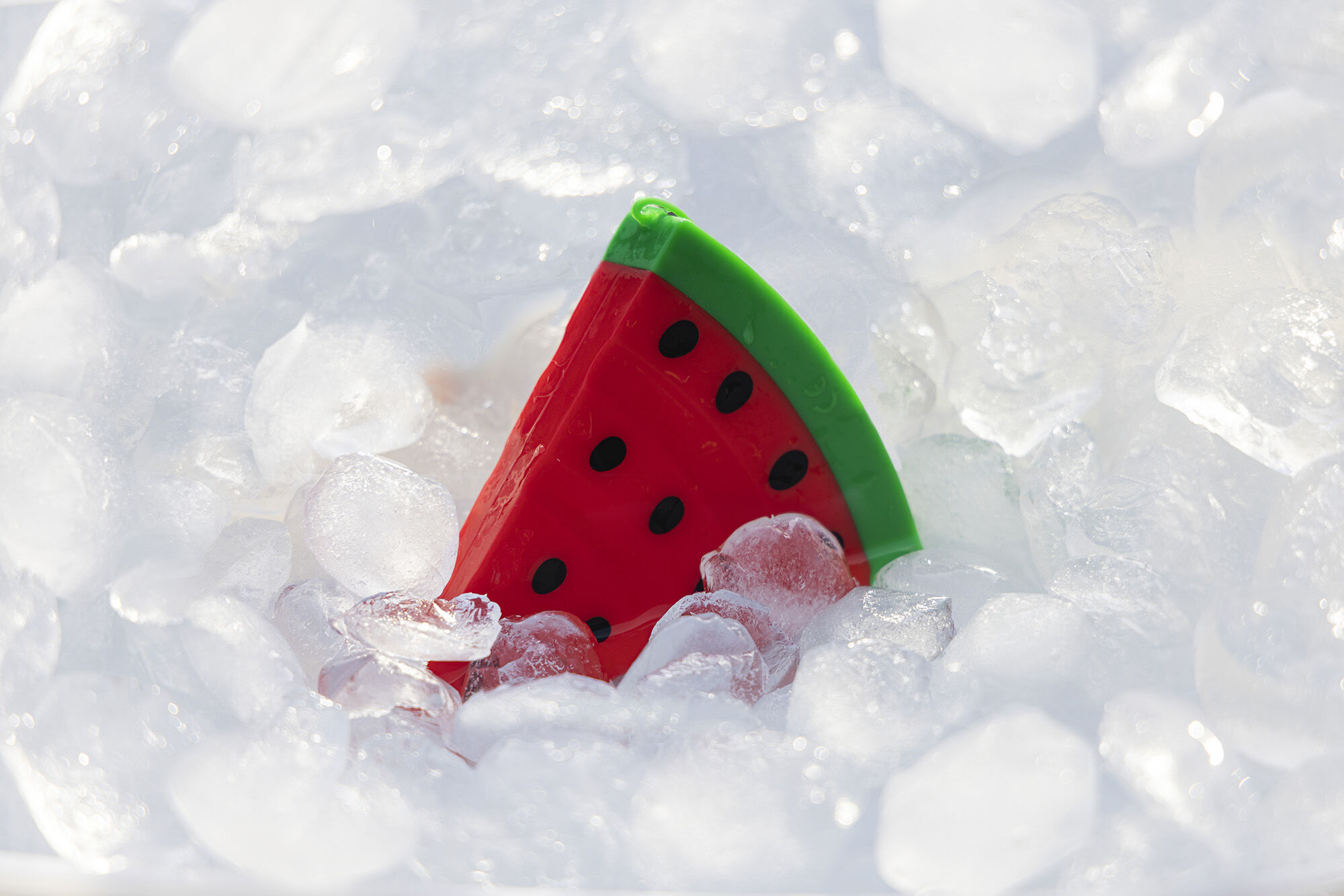 Beeztees Fill-n-Freeze Fruit - Waterspeelgoed Hond - assorti - 3x11x12.5 cm