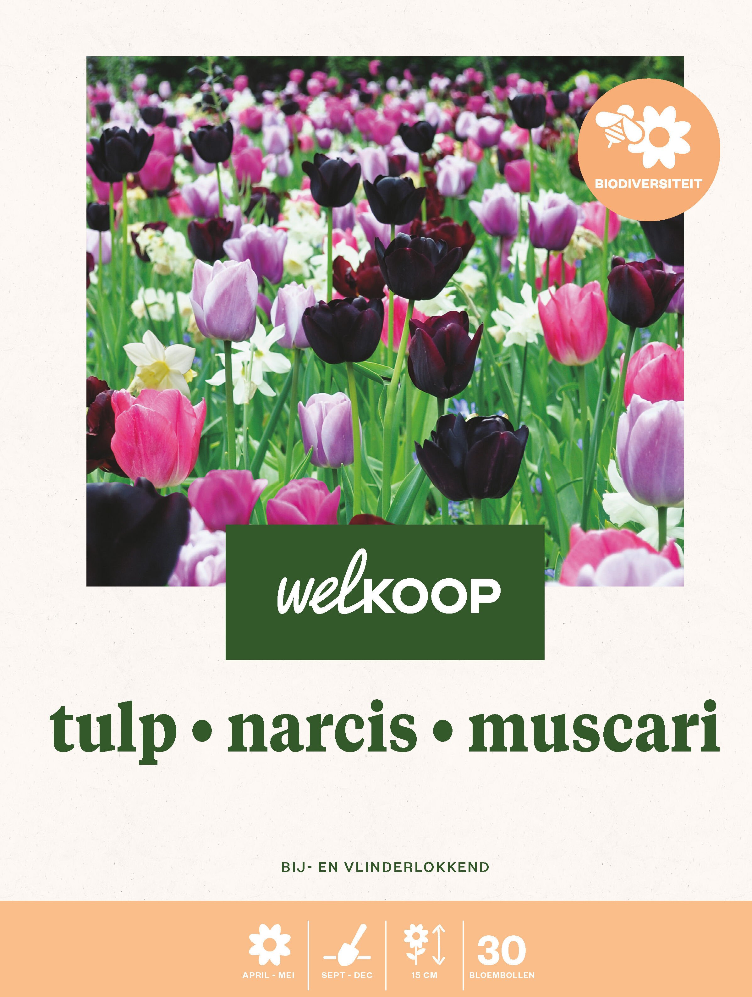 Welkoop Tulp Narcis Blauwe druifjes Biodiversiteit - Bloembollen