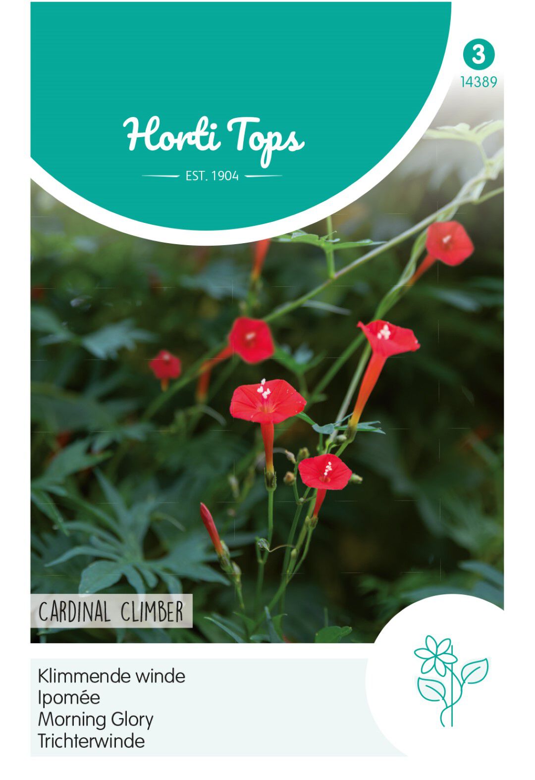 Hortitops Klimmende winde Ipomoea Cardinal Climber - Bloemzaden