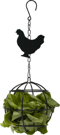Welkoop Kippenvoerbalhanger - xx cm