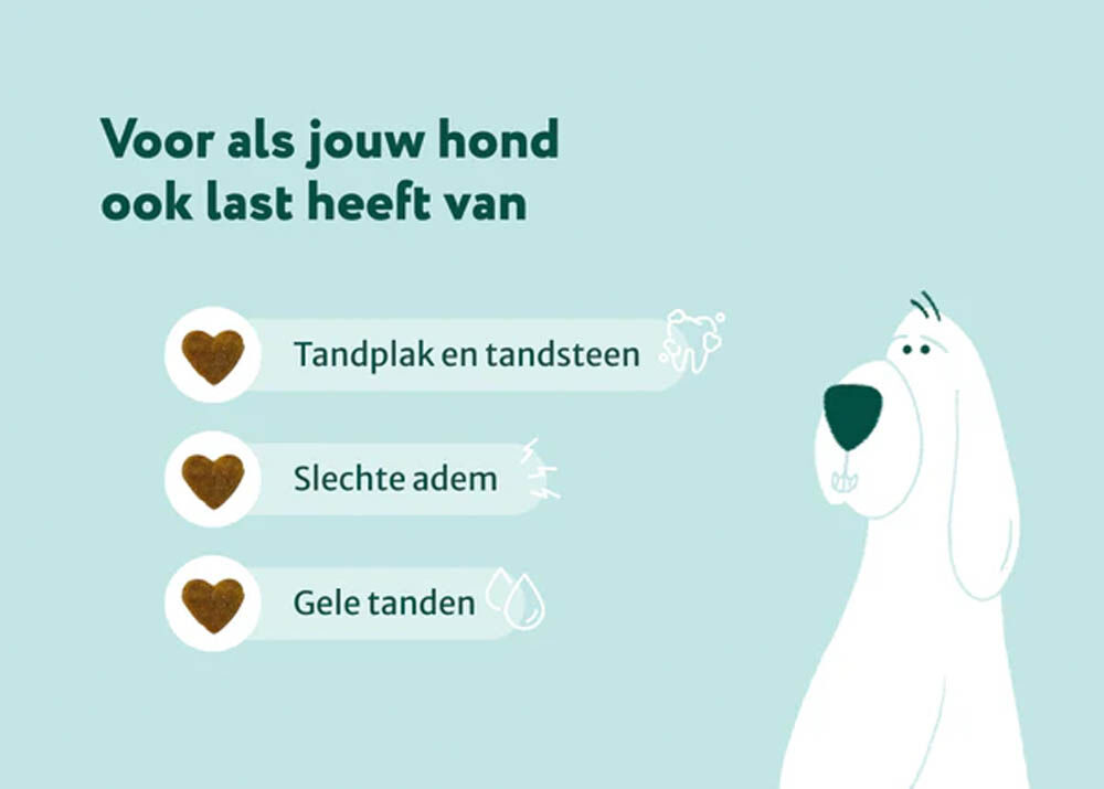 Dogsuppy Dental Bright - Hondensupplement - 90 Gram