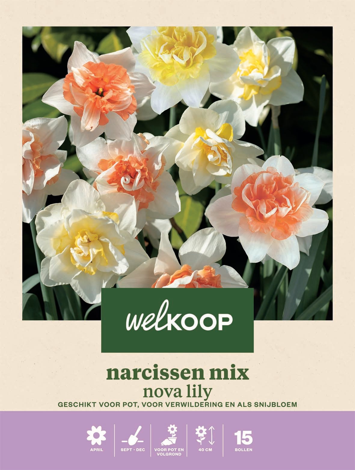 Welkoop Narcissen mix Nova Lily - Bloembollen Welkoop Narcissen mix Nova Lily - Bloembollen