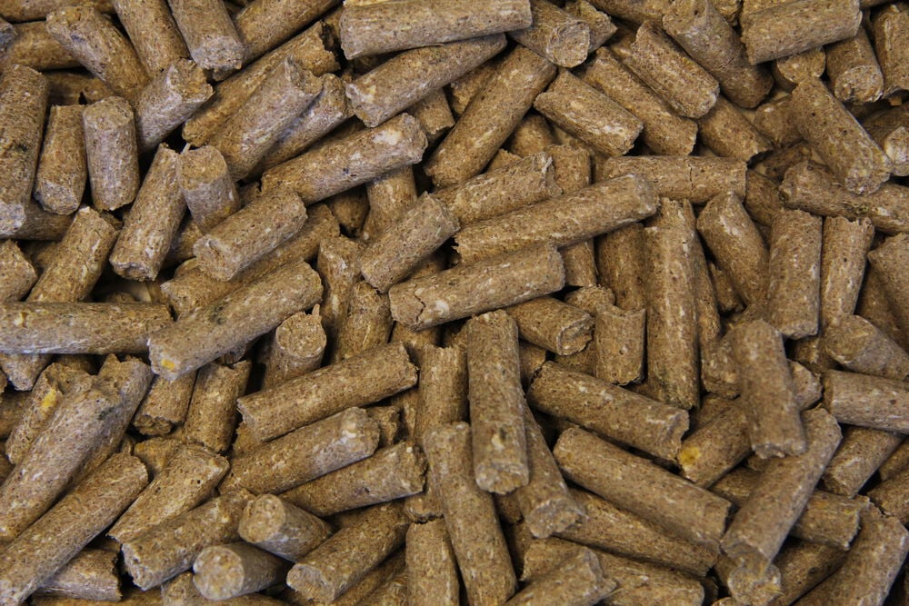 Voermeesters Merrie - Fokkerij - 20 Kilogram - Zak