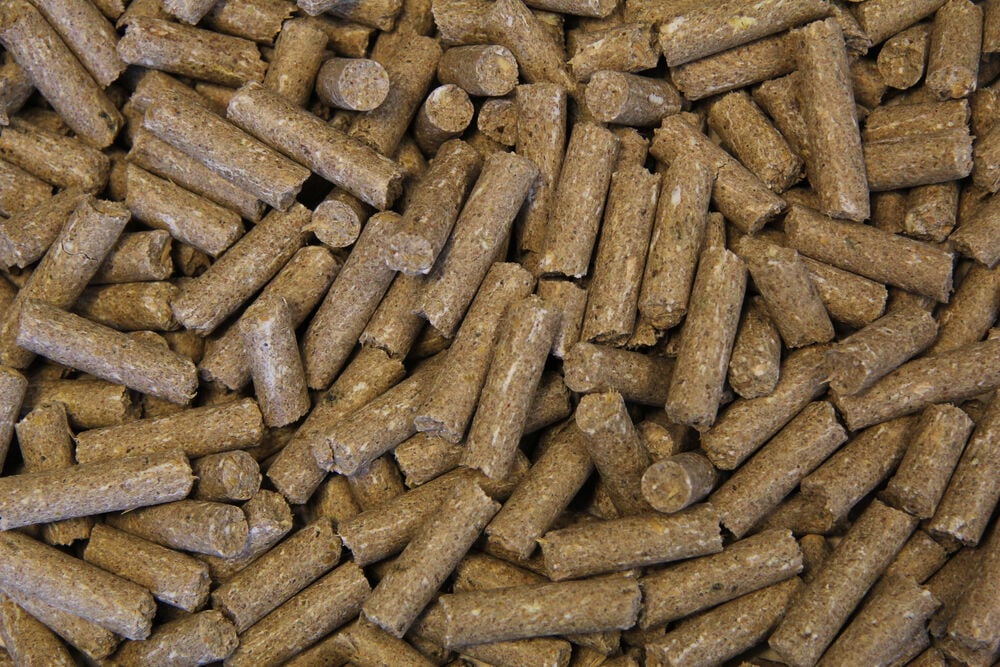 Voermeesters Sereen - Basisvoeding - 20 Kilogram - Zak