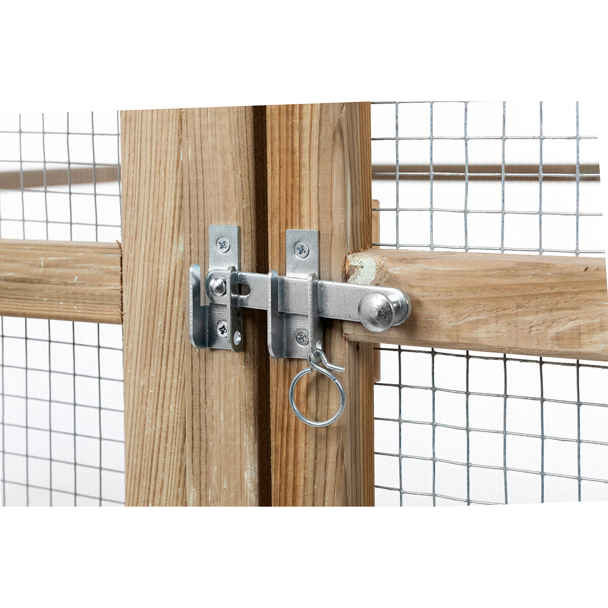 Glorenza - Ren - Naturel