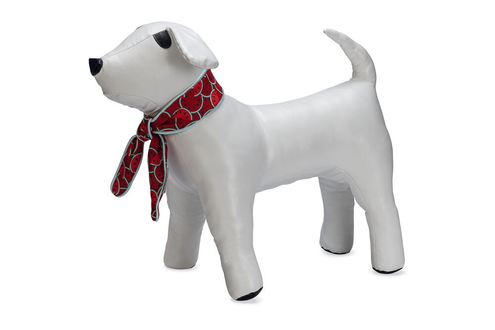 Beeztees Quick Cooler Meloenie - Halsband Hond Beeztees Quick Cooler Meloenie - Halsband Hond