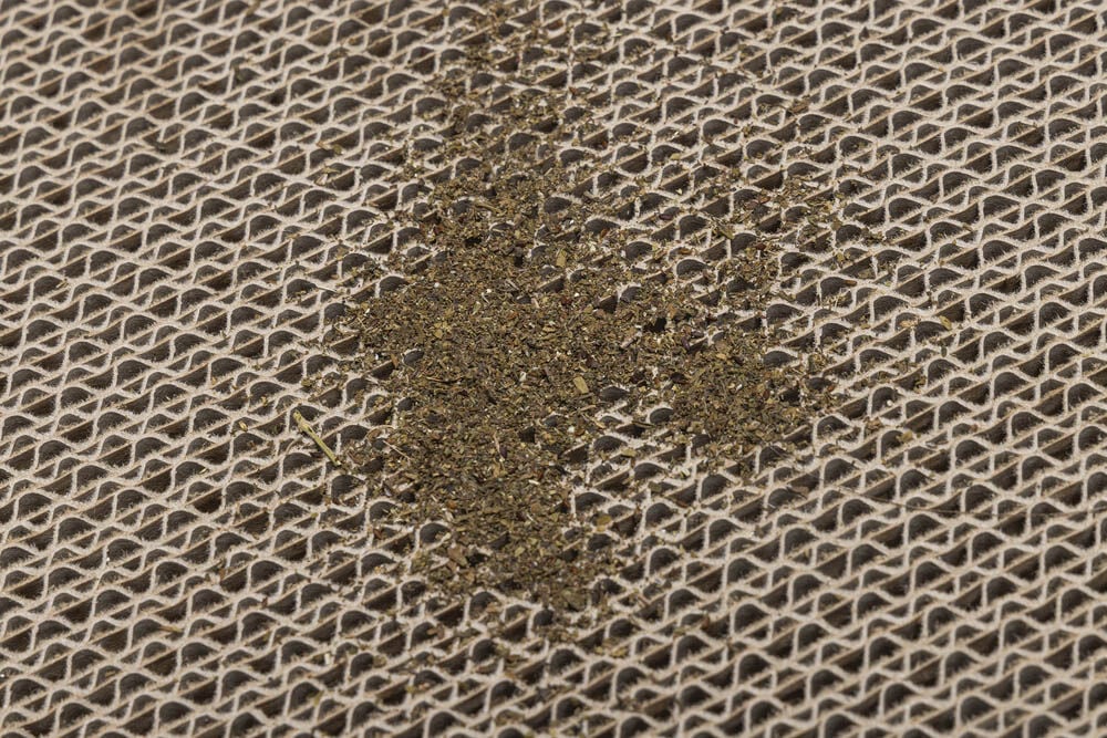 Beeztees Leezi - Krabkarton - Bruin Roze - 1x42x1 cm