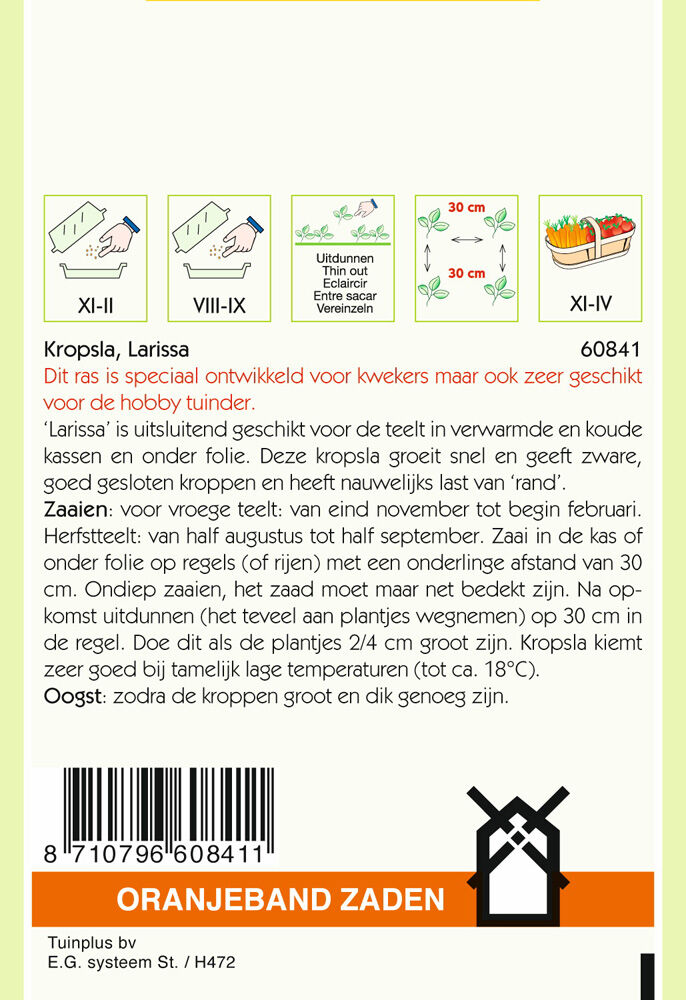 Oranjeband zaden Kropsla Larissa - Groentezaden