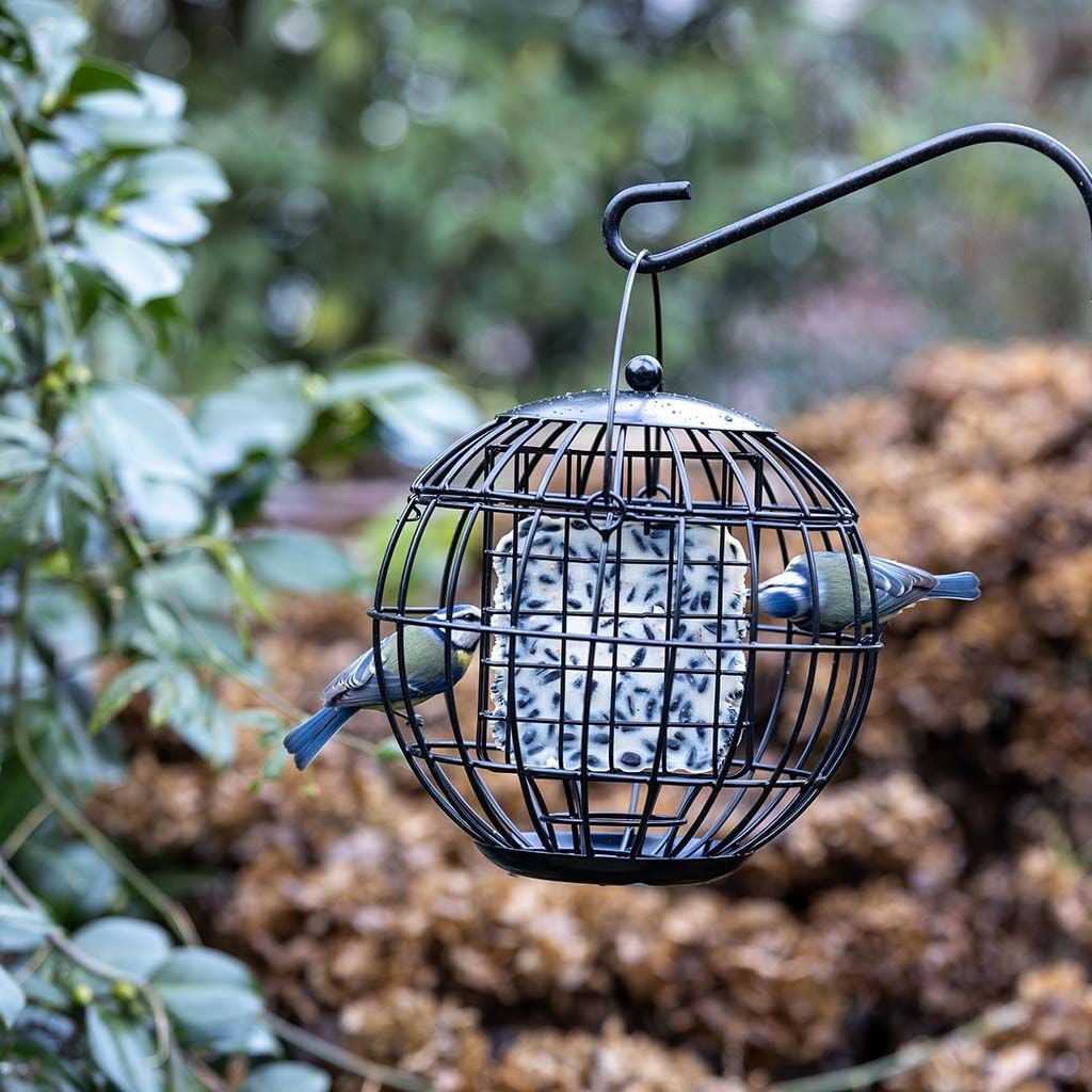 Vogelbescherming Vetblokhouder London - Tuinvogels - 20.5x22x22 cm