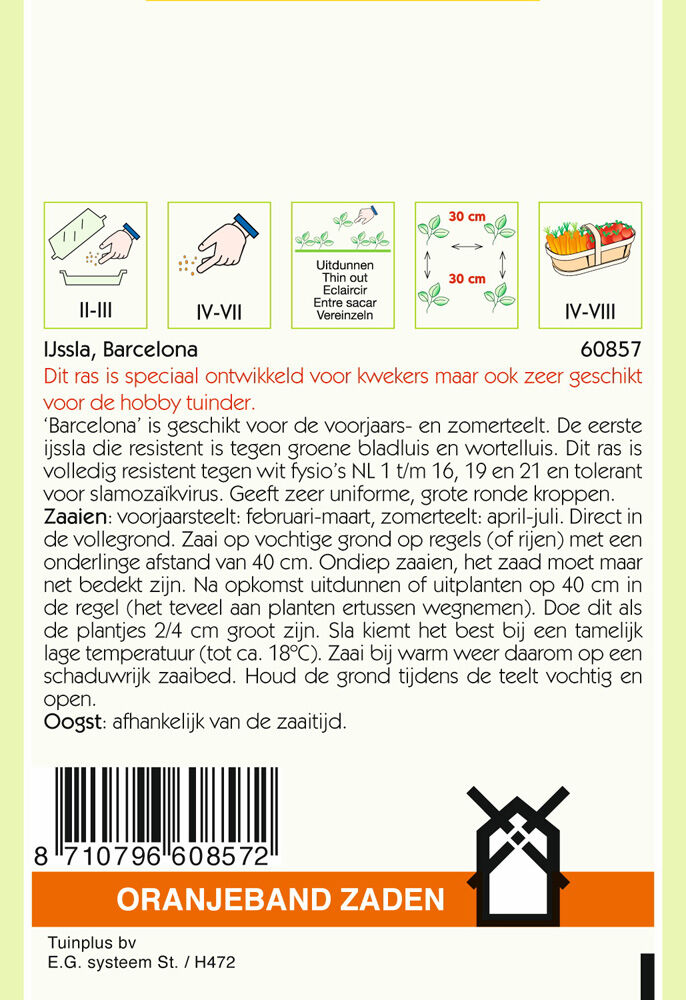 Oranjeband zaden Ijssla Barcelona - Groentezaden